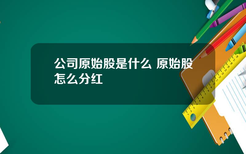 公司原始股是什么 原始股怎么分红